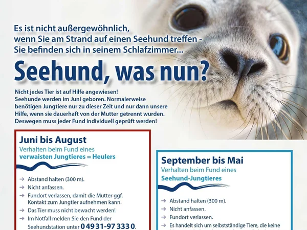 Bild 2: Seehundstation Nationalpark-Haus